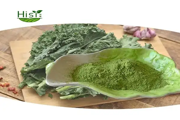 How to use kale powder in daily smoothies and drinks?